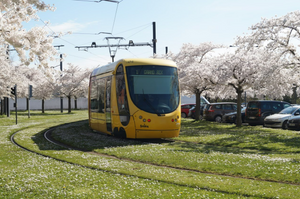 <p>Tramway, printemps 2023</p>