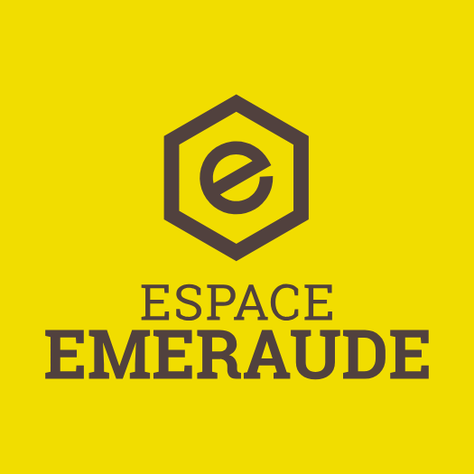 Logo de l'organisation