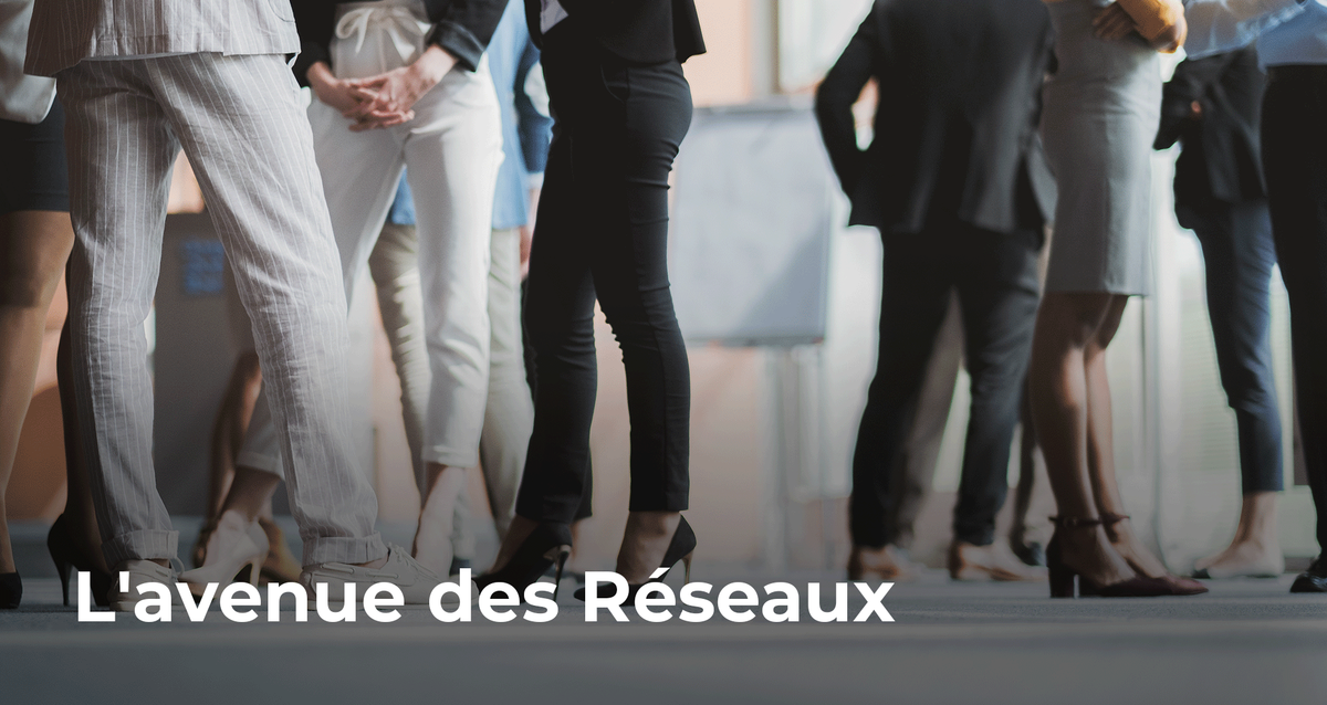 L'avenue des réseaux