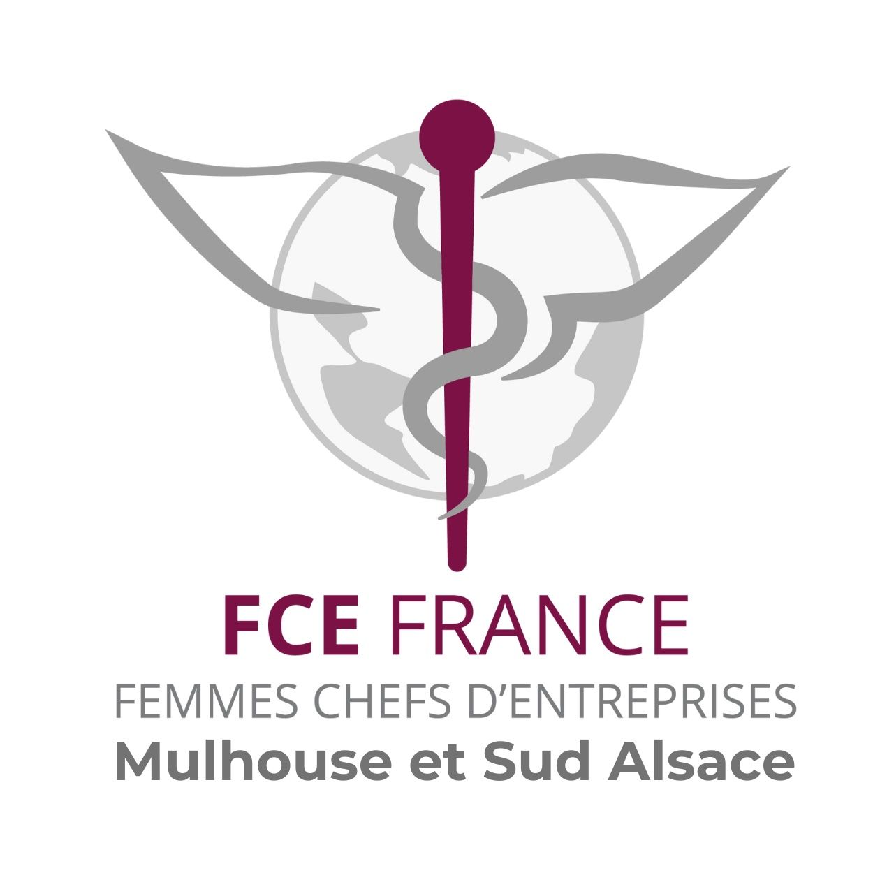 ASSOCIATION FCE mulhouse sud alsace